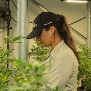 nuestro trabajo, compromiso con el medio ambiente para una economía circular