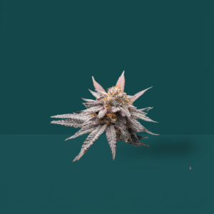 Inflorescencias Mindblower